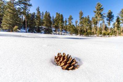 Snowy Mountain Winter